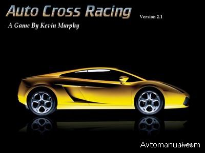 Скачать игру Auto Cross Racing