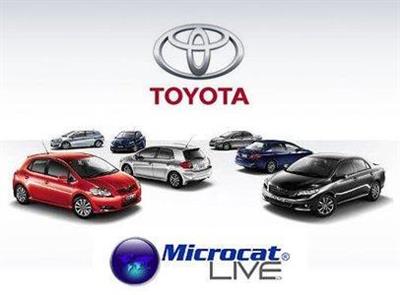 Каталог запасных частей Toyota Microcat Live 3 Mastertech (2013)